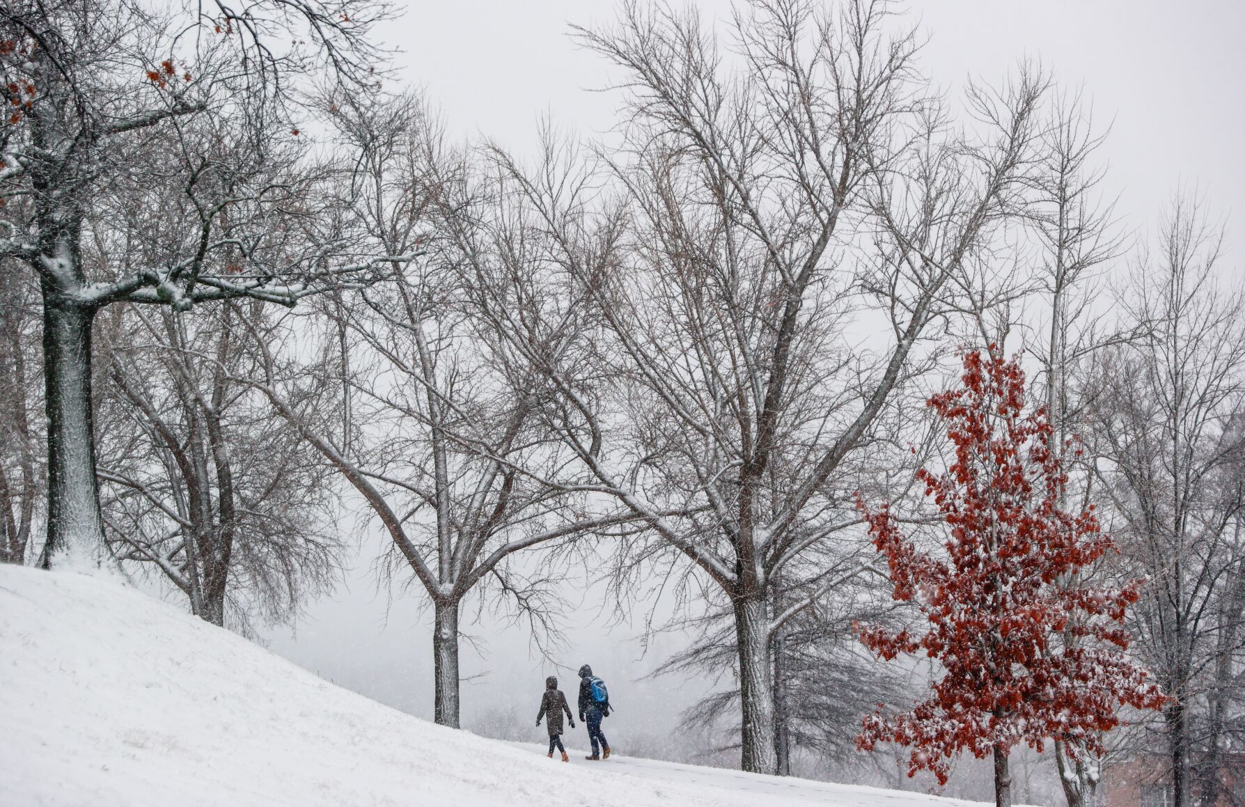 Winter Weather Virginia